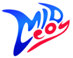 Арт-Мелоди