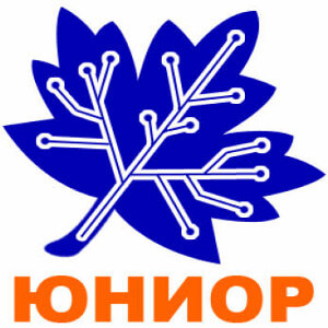 Всероссийский конкурс научных работ школьников «Юниор» 2013 года