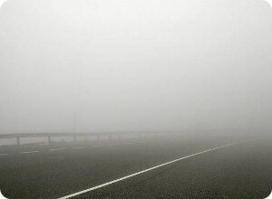 фото МЧС предупреждает автолюбителей о сильном тумане 8 января
