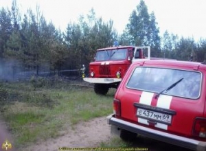 фото Лесной пожар в Бологовском районе