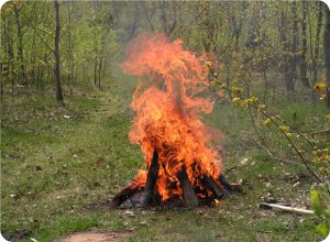 На отдыхе в лесу не забывайте правила пожарной безопасности