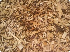 фото В Западнодвинском районе 10 гектаров сельхозугодий превращены в свалку порубочных остатков древесины