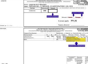 фото В квитанциях «Тверьэнергосбыта» появится справочная информация