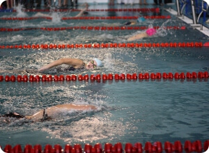 фото Чемпионат области по плаванию пройдет в Торжке