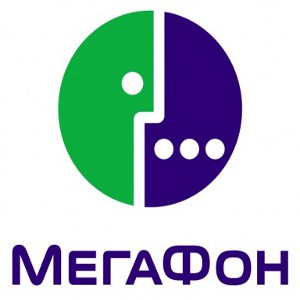 Услуги связи Министерству контрольных функций Тверской области будет осуществлять компания "Мегафон"