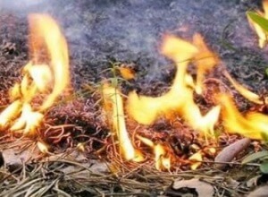 Тверская область готова к пожароопасному сезону 2013 года