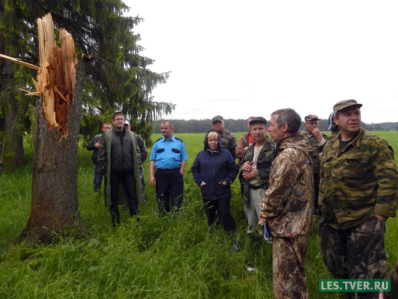 Семинар-тренировка по защите леса