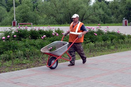 В Твери продолжаются работы по озеленению