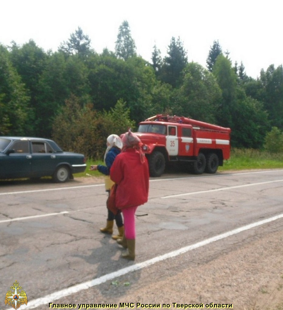 Найдены дети, потерявшиеся в лесу в Тверской области