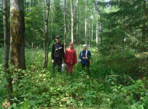 фото Найдены дети, потерявшиеся в лесу в Тверской области
