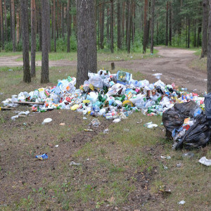 фото Ситуация с мусорными свалками на карьерах из года в год повторяется