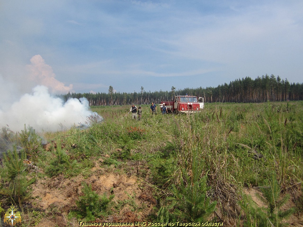 Уточнённая информация по лесному пожару в Весьегонском районе
