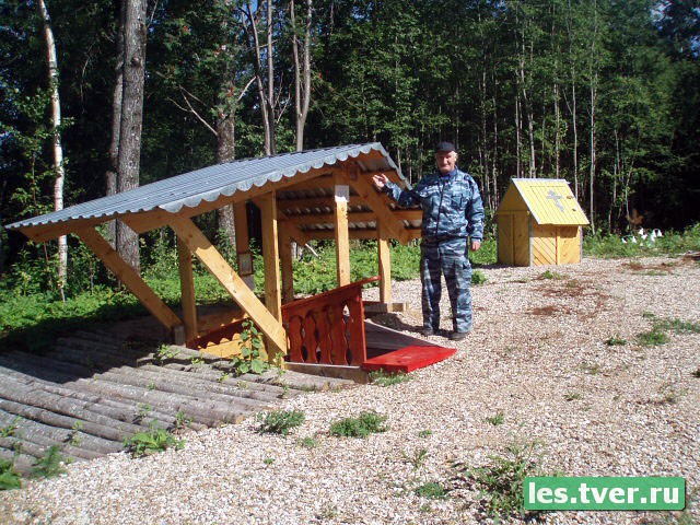 Выполнение профилактических противопожарных мероприятий в лесах