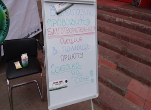 В Твери прошла благотворительная акция "Собака на сене"