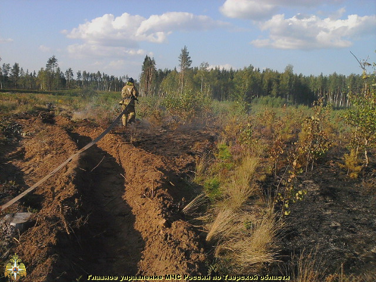 Лесной пожар в Бологовском районе ликвидирован