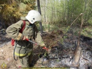 Лесной пожар в Калининском районе