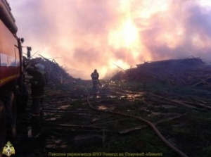 Лесной пожар в районе деревни Курово Калининского района
