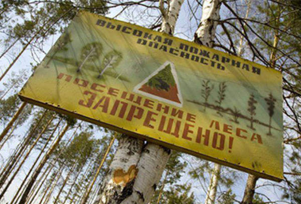 Ограничение посещения лесов Бежецкого района