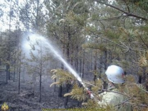 фото Торфяной пожар в Калининском районе