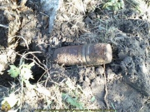 фото 12 кг тротила, 1 мина и 3 гранаты - Великая Отечественная война продолжает напоминать о себе