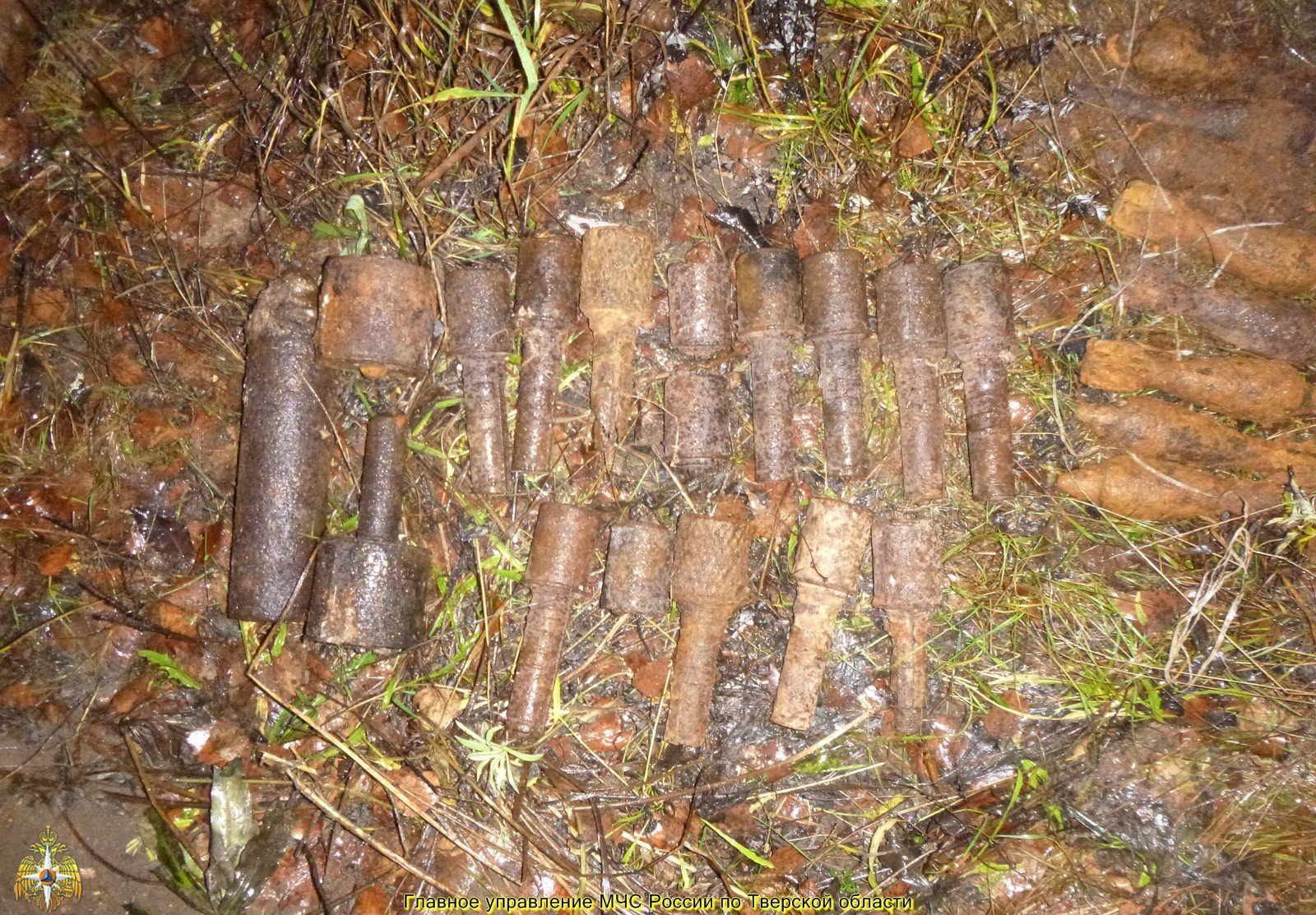 фото В Андреапольском районе обезврежено 60 снарядов времен Великой Отечественной Войны