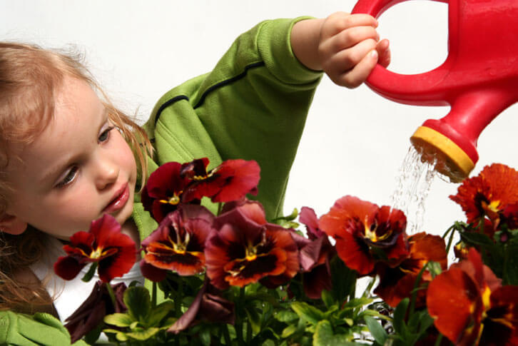 Украсим Торжокский детский дом комнатными растениями