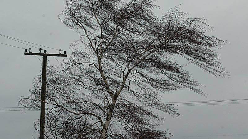фото В 5 районах Тверской области в результате шторма прекращена подача электричества
