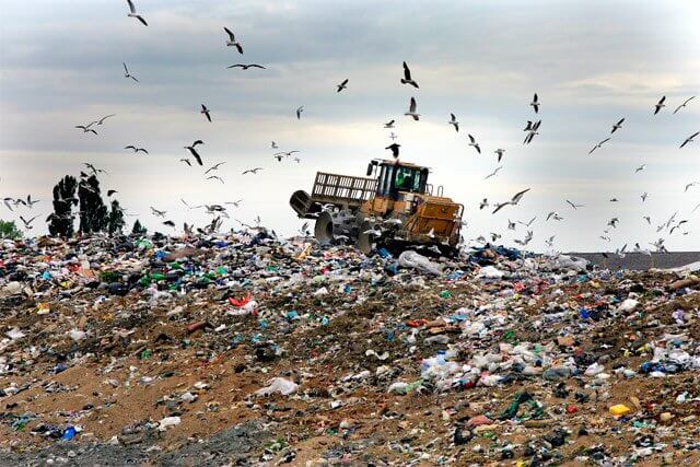 фото Ежегодно в Тверской области образуются сотни тысяч тонн отходов