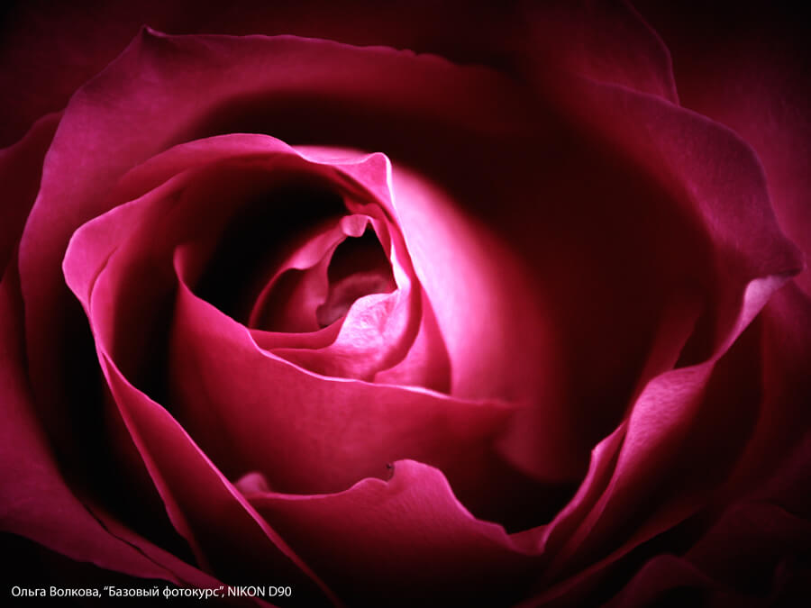 К Международному женскому дню в Твери открылась фотовыставка "Цветы для любимых"