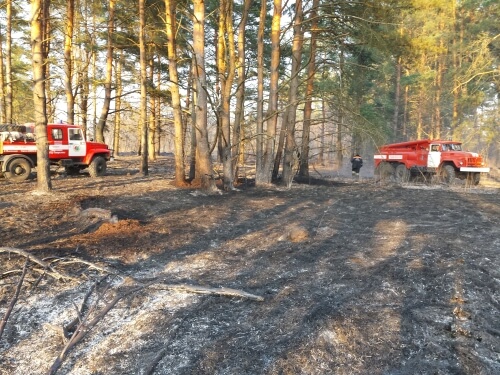 фото В Калининском районе открыт сезон лесных пожаров