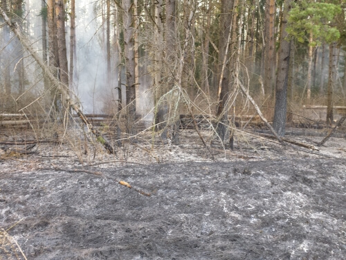 В Калининском районе открыт сезон лесных пожаров