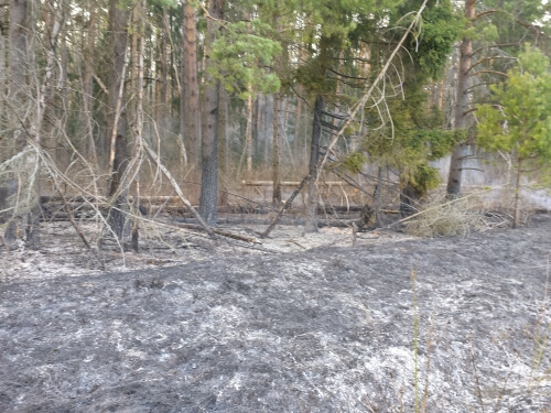В Калининском районе открыт сезон лесных пожаров