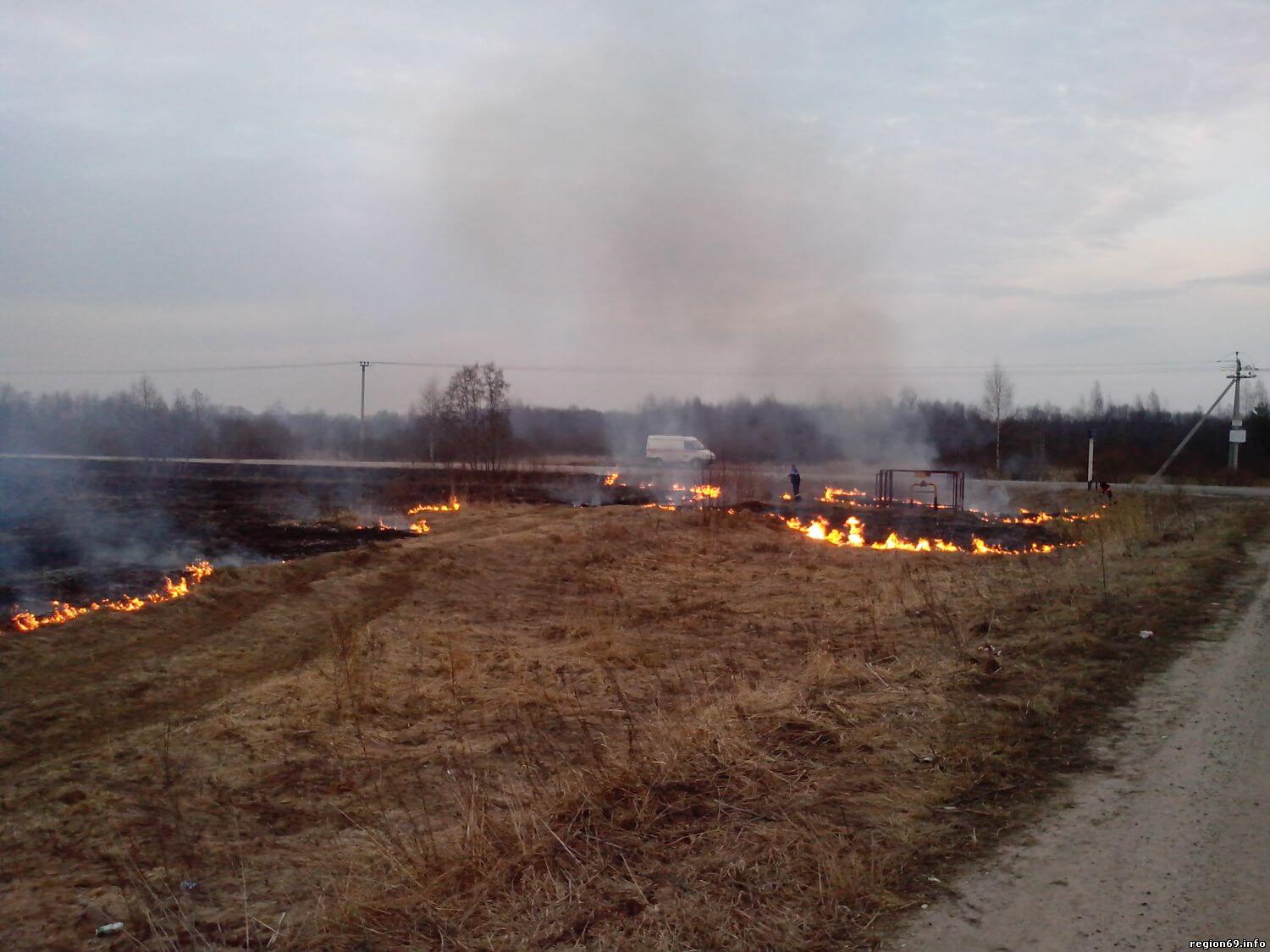 В Тверской области газопровод был под угрозой взрыва из-за пала травы