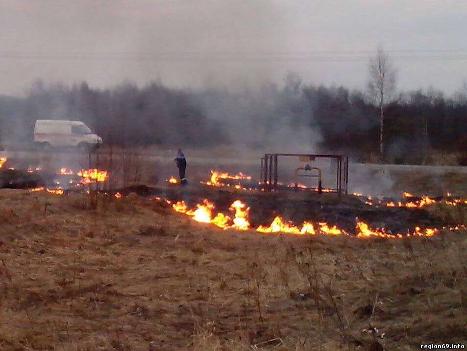 фото В Тверской области газопровод был под угрозой взрыва из-за пала травы