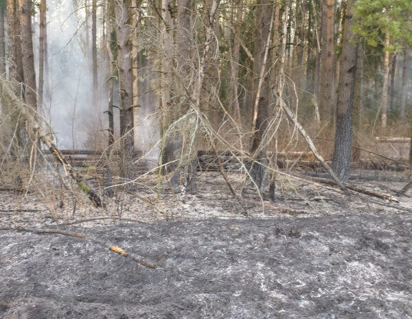 фото В Тверской области вводится особый противопожарный режим