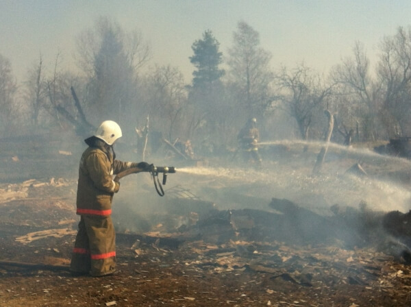 фото На масштабном пожаре в деревне Цирибушево удалось отстоять 37 домов из 45