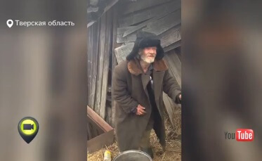Активисты приглашают неравнодушных людей помочь вынужденному отшельнику "Дяде Мише", живущему в глуши в Тверской области