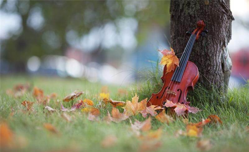 В Твери открывается ежегодный фестиваль "Музыкальная осень"