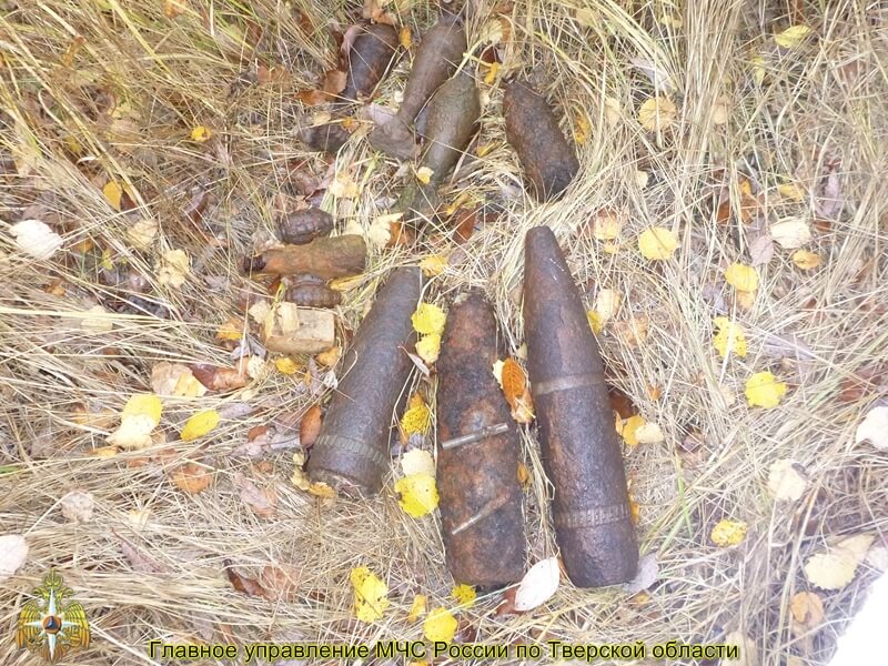 фото Тверские взрывотехники обезвредили 84 боеприпаса времен ВОВ в Ржевском районе