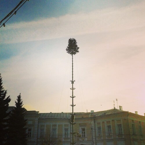 фото За возведением новогодней елки на главной площади Твери можно следить в режиме "онлайн"