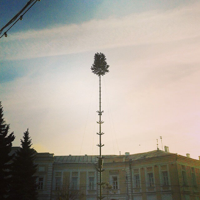 За возведением новогодней елки на главной площади Твери можно следить в режиме "онлайн"