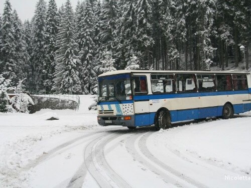 фото Изменения в расписании движения пригородных автобусов в новогодние каникулы