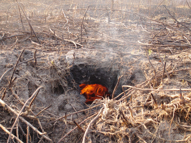 На территории Тверской и Брянской областей прогнозируется высокий риск возникновения торфяных пожаров