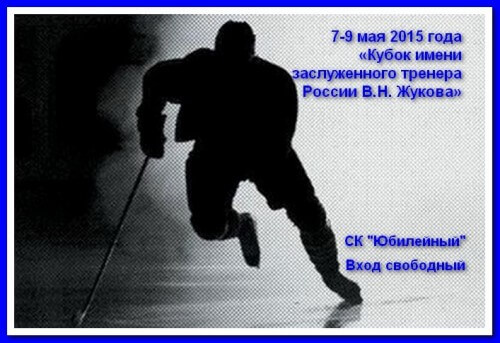 фото Турнир по хоккею на Кубок имени заслуженного тренера России В.Н. Жукова