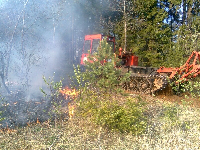 В Торопецком районе выгорела лесополоса на площади в 1га