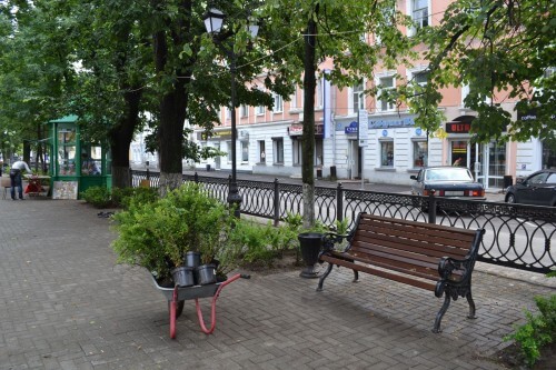 фото Бульвар Радищева в Твери украсили кусты барбариса