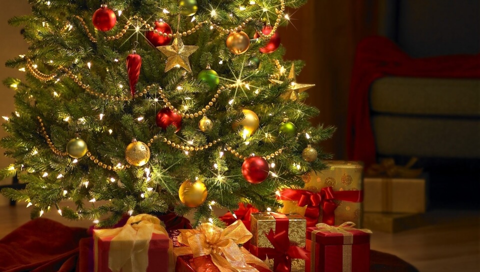 Елки к Новому году в Твери начнут продавать 20 декабря