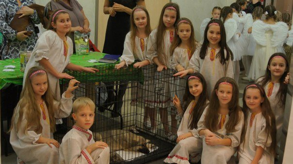 Шоу-балет "Диамант" провел благотворительный концерт в помощь тверскому приюту для собак