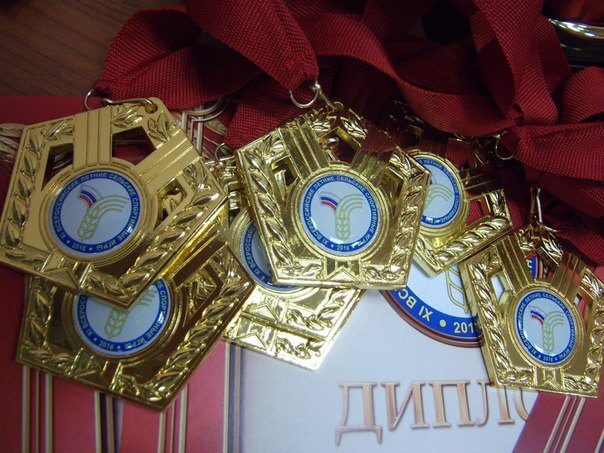 Семья Никешиных из Тверской области одержала победу на Всероссийских сельских спортивных играх