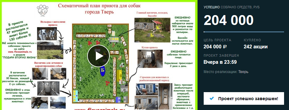 Тверской приют для собак собрал необходимую сумму для организации теплого помещения питомцам